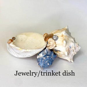Seashell trinket or jewelry dish, or decor. One-of-a-kind home decor item crafted from seashells collected along the SC Lowcountry coast.