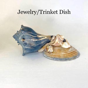 Seashell trinket or jewelry dish, or decor. One-of-a-kind home decor item crafted from seashells collected along the SC Lowcountry coast.