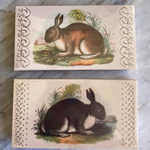 May include: Two vintage illustrations of rabbits on a white background. The top illustration features a brown rabbit with a white belly, sitting in a grassy field. The bottom illustration features a black rabbit with a white belly, sitting in a grassy field.