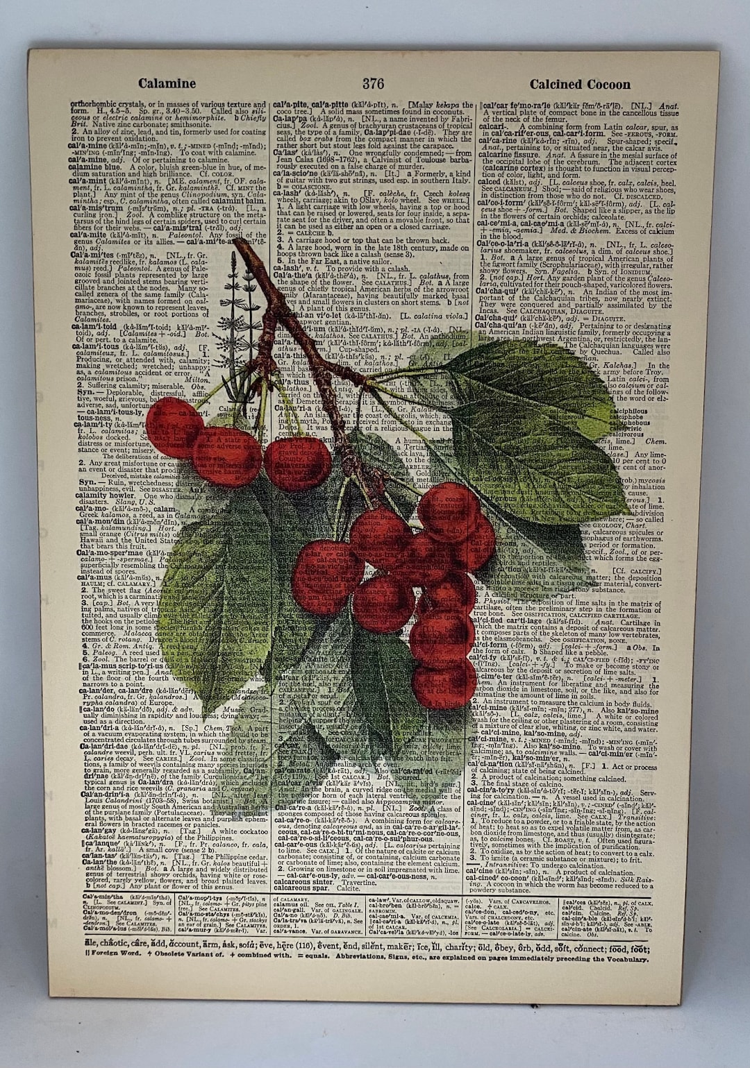 Vintage Mounted Cherries Dictionary Prints Etsy