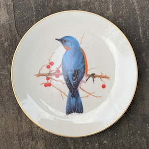 National Wildlife Federation - Eastern Blue Bird Plate
