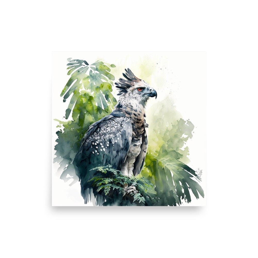 Harpy Eagle Watercolor Poster 