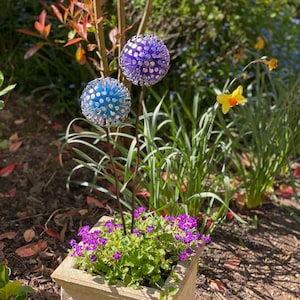 Purple & Blue Dandelion / Allium Feature