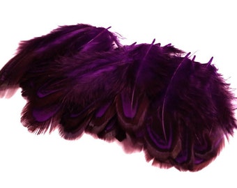 Dyed Purple Ringneck Pheasant Almond Plumage Feathers 2-3" | 25 pieces