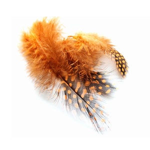 Dyed Orange Guinea Hen Feathers 2-5&quot; | 25 pieces