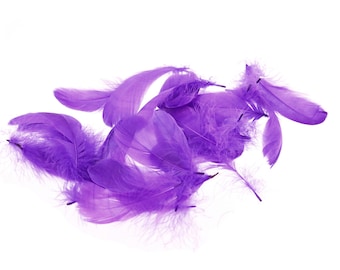 Dyed Purple Goose Coquille Feathers 3-4" | 14 pieces