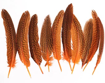 0.42oz 12g Natural Grey 1~4/" Guinea Hen Plumage Feathers Crafting Decoration