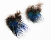 Natural Blue Peacock Body Plumage Feathers 1-3 quot 50 pieces