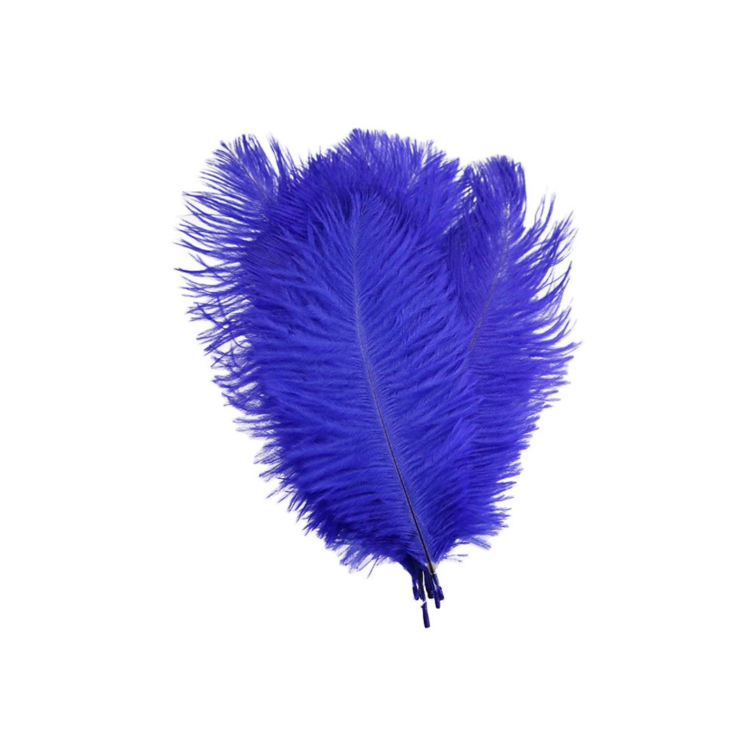 Ostrich Plumage Feathers Dyed Royal Blue 6-8 10 Pcs. - Etsy