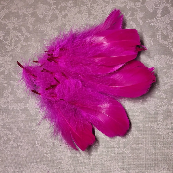 Hot Pink Dyed Goose Coquille Feathers 4-6″ (25 pieces)