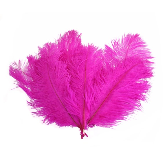 Quills; Costume//Dress//Hat//Pen 25 Pcs GUINEA QUILLS 7/"-9/" HOT PINK