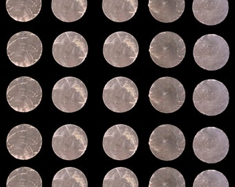Capiz Translucent Circle Cut Shells 1.45" White Windowpane Oyster Undrilled Round Seashells