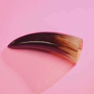 Gray, Brown and Black Polished Water Buffalo Horn | Bubalus bubalis 7-9&quot;