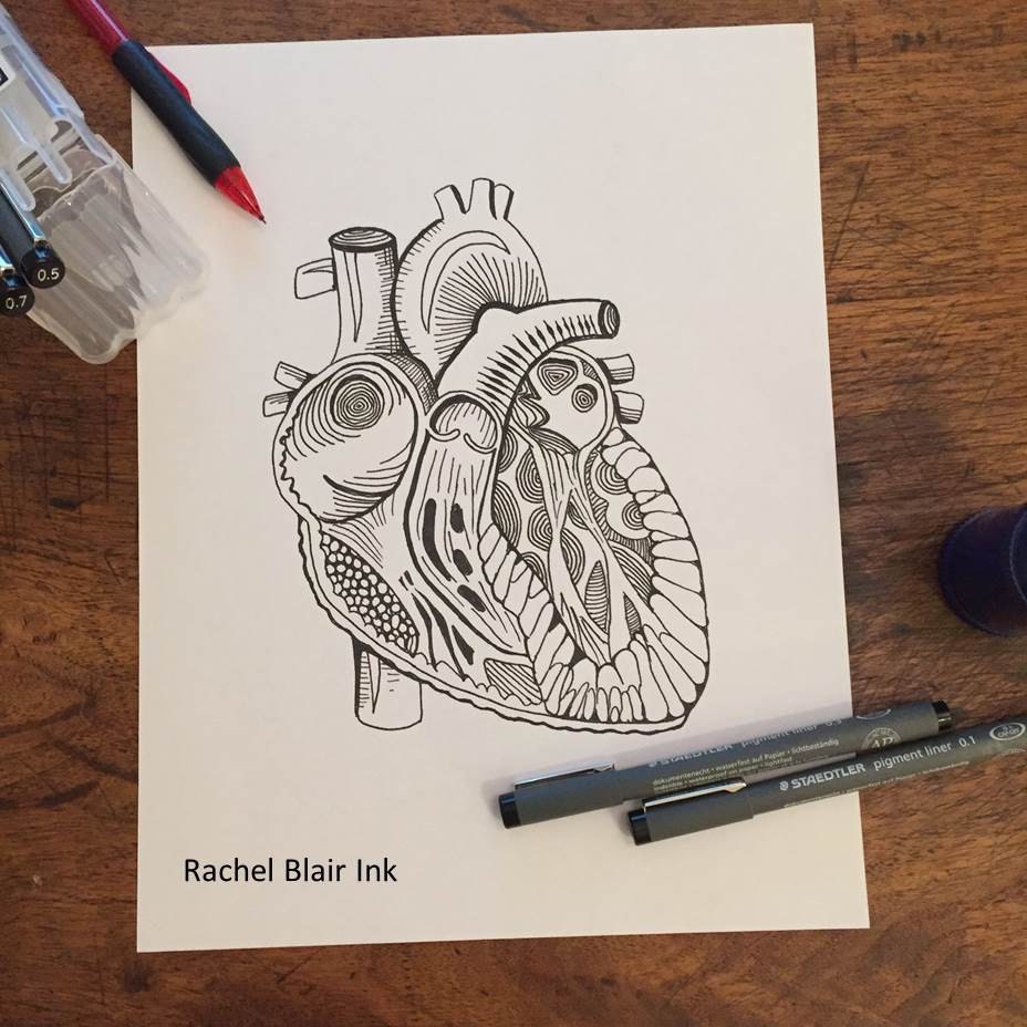 Adult Coloring Page Heart Anatomy