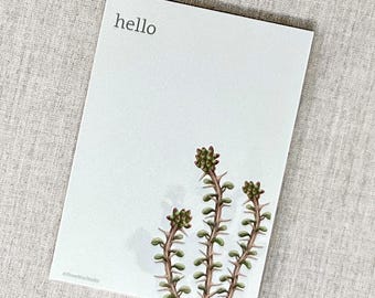 New Desert Notepad with 3 Designs:  Red Aloe, Ocotillo and Yellow Prickly Pear