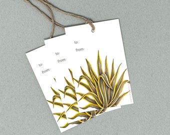 Desert Agave Gift Tags:  Set of 3