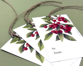 Pyracantha Holiday Gift Tags: Set of 3