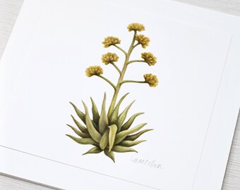 Century Plant Signed Archival Print