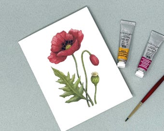 Poppy Notecards:  Box of 8