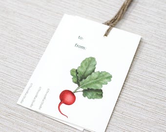 Radish Gift Tags: Set of 3