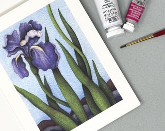 Purple Iris Notecards; Box of 8