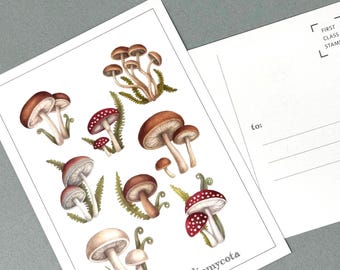 Mushroom Medley Botanical Postcards:  Set of 3