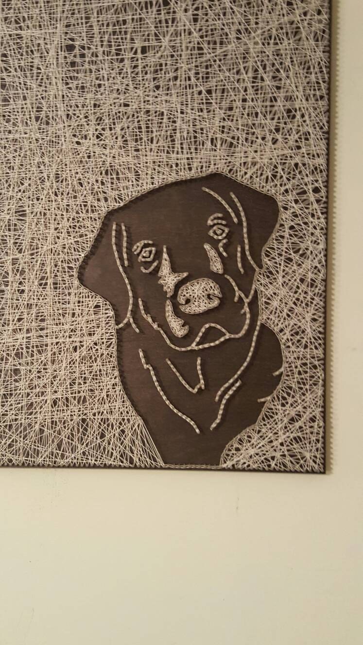 Lab Face String Art 16x16 Etsy