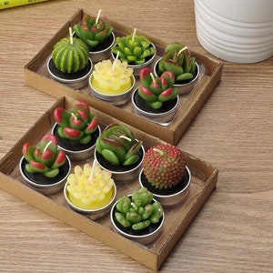 Succulent tea sale lights