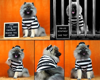 prison dog costume