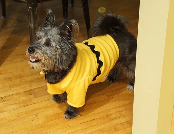 Charlie Brown Dog Costume