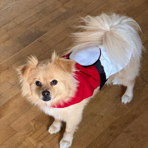 Pokeball Dog costume