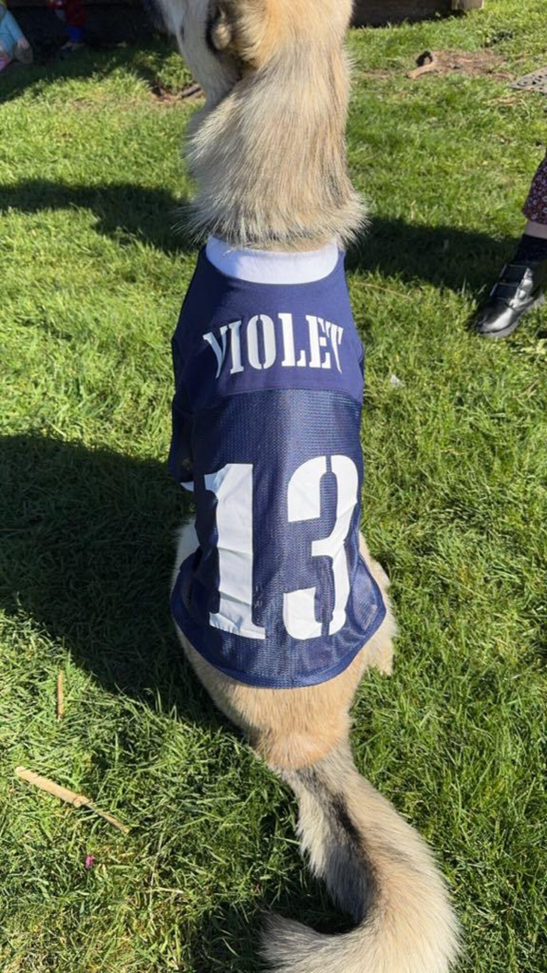 Pet Supplies Personalized Notre Dame Dog Jersey Football Jersey