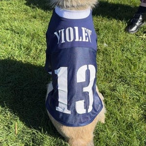 Football jersey for dogs, Homemade dog jersey, Jersey dog t-shirt, T-shirt for dogs