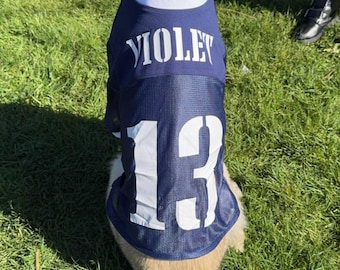 Camiseta de fútbol casera para perro: Colores y nombre del equipo personalizados