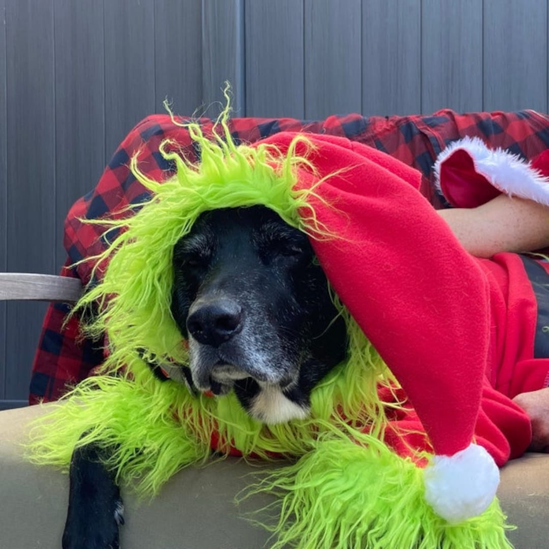 Traje de perro de Papá Noel, disfraz de perro de Navidad, chaqueta de perro  de Papá Noel - Etsy México