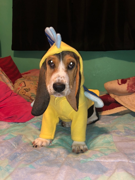 Flounder little Mermaid, Flounder dog costume, Little Mermaid dog costume,