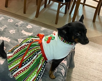 Weihnachtshundekleid: Gestreiftes Weihnachtsoutfit mit 'HoHoHo' Applikation