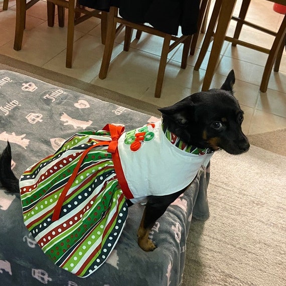 Christmas dog dress, Christmas dog outfit, HoHo dog dress, Holiday dog dress, Girl dog outfit