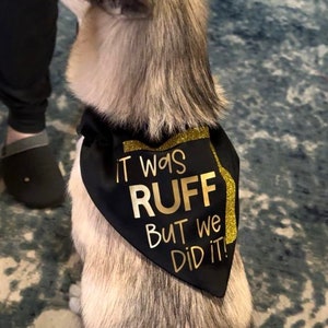 Graduation dog bandana, Graduation gift, Personalized dog bandana, Dog bandana, Slide on collar dog bandana