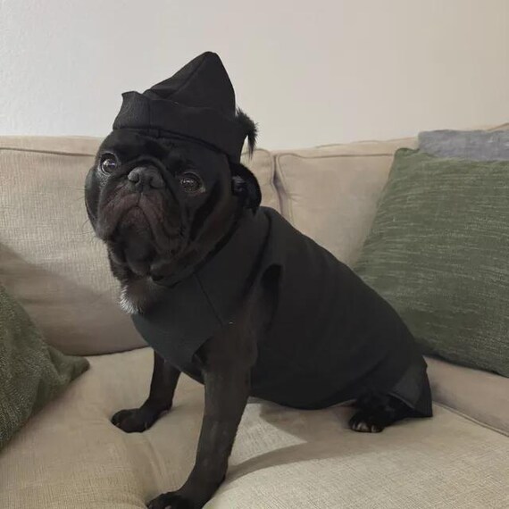 Peter Pan Shadow dog costume, Black fairy dog costume, Halloween dog costume, fleece dog costume, Robin Hood dog costume, Dog Outfit