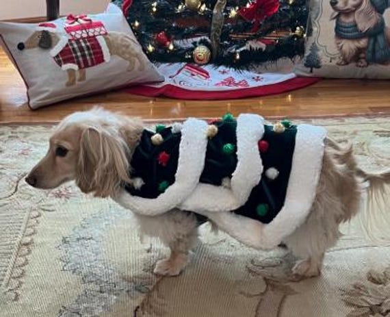 Christmas Tree dog outfit, Christmas dog costume, Fancy dog outfit, Holiday dog outfit, Christmas outfit for dogs, Dog Costume