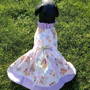 Birthday dog dress, Happy Birthday dog outfit, Celebration dog outfit, Dog dress, Girl dog outfit