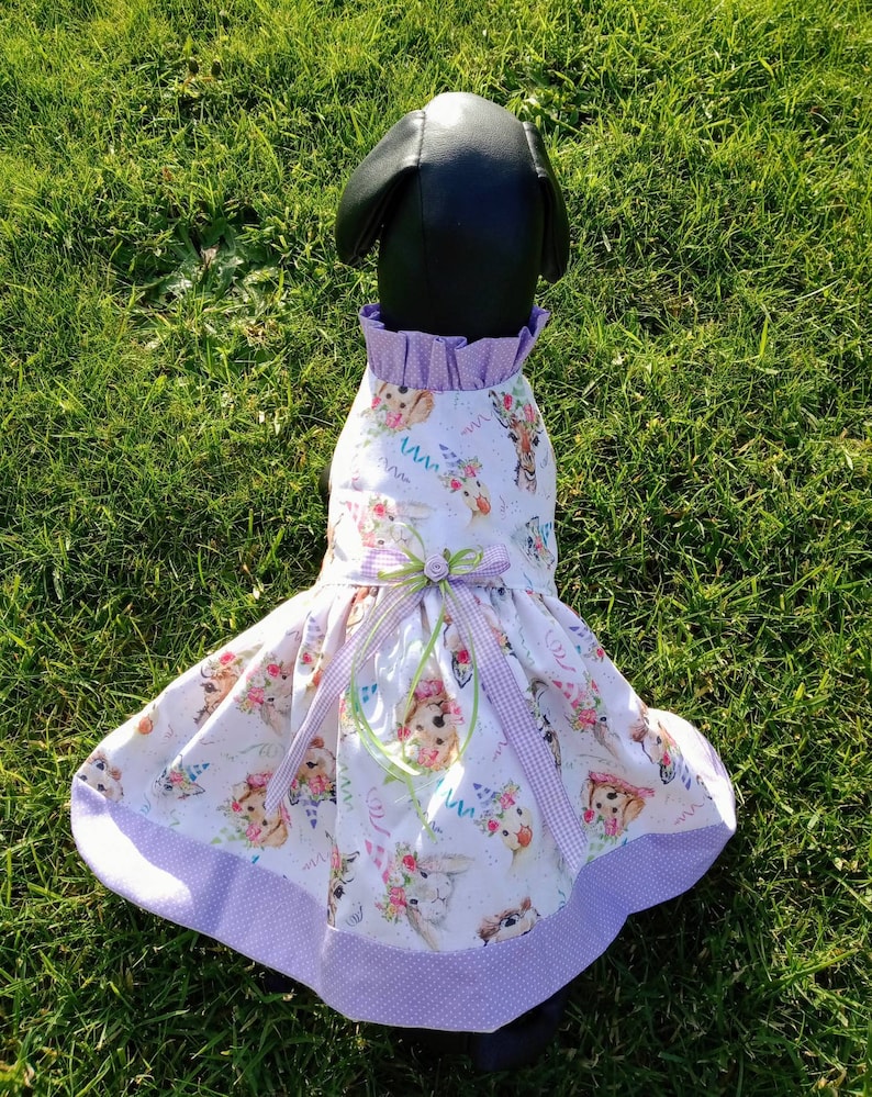 Birthday Dog Dress Happy Birthday Dog Outfit Celebration Dog Etsy