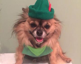 Peter pan, Peter pan dog costume, Peter pan dog outfit, Robin Hood dog costume, Robin Hood dog outfit, Halloween dog costume