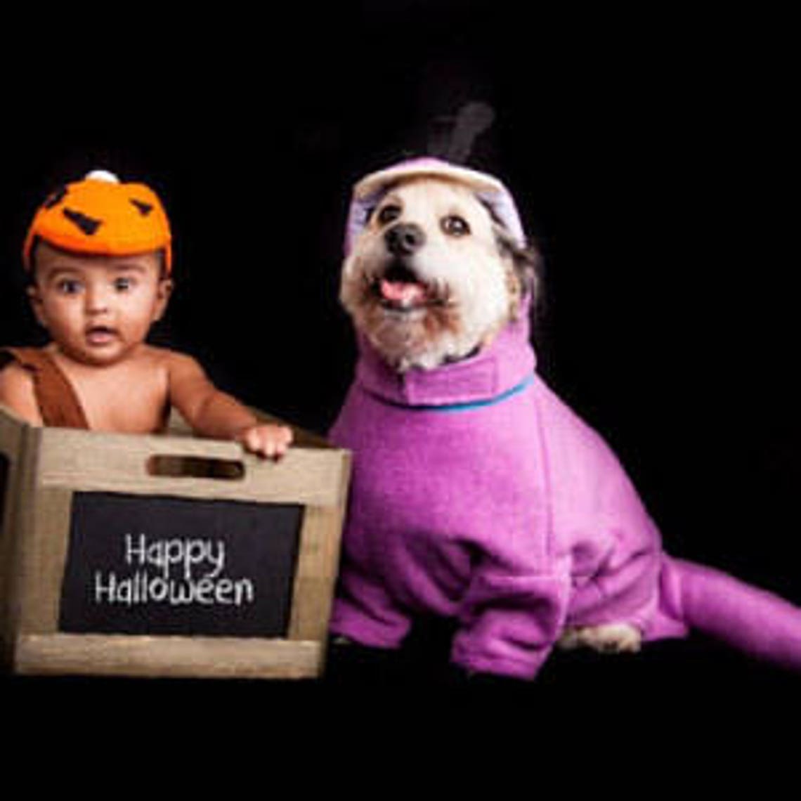 Dino The Flintstone Dog costume Dino dog costume Dinosaur Etsy