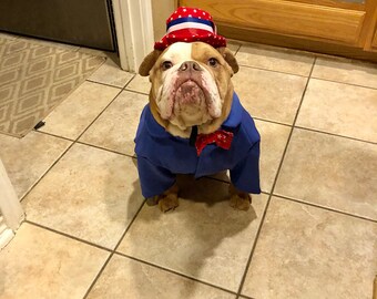 Uncle Sam dog costume, Fourth of July dog costume, Independences day dog outfit.