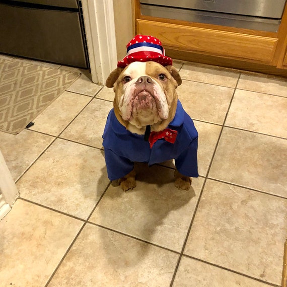 Fourth of top july dog outfits
