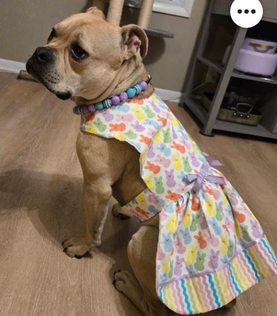 Easter dog dress, Peeps dog outfit, Peeps dog dress, Fancy dog dress, dog dress, Dress for dogs, Girl dog dress, Dog outfit