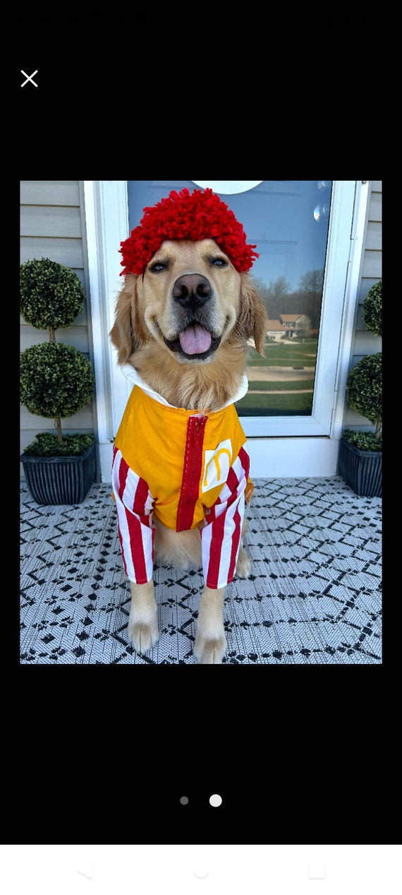 Ronald McDonald dog costume, McDonald's dog costume, Halloween dog Outfit, Dog Costume