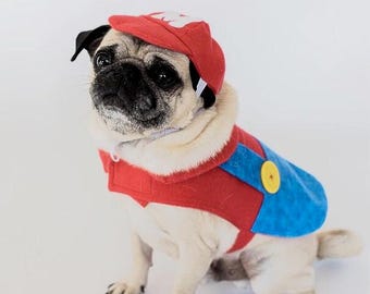 Mario Dog Costume: Flannel Halloween Outfit with Hat